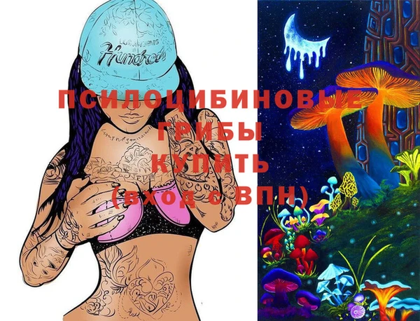 ешки Арсеньев
