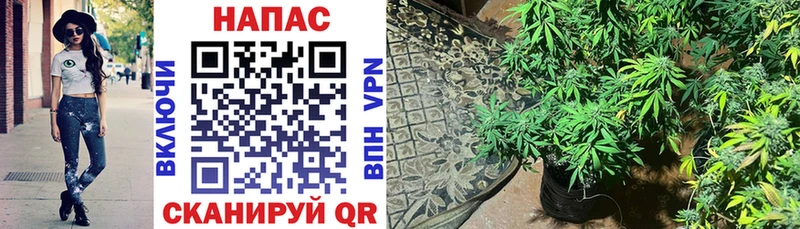 Канабис VHQ  Усмань 